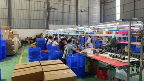 点赞！化州这个镇“微工厂”遍地开花，留守妇女挣钱顾家两不误