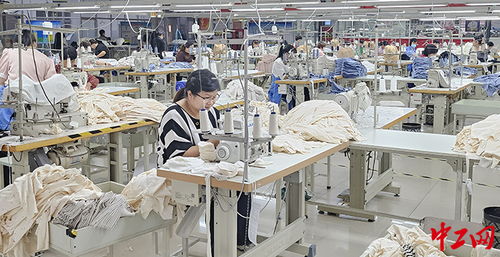 济宁市兖州区 引项目搭桥梁，公共就业服务让就业顾家两不误