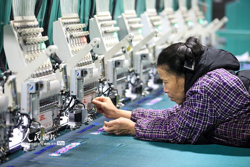 贵州从江 “家门口就业”铺就增收坦途，公共就业服务暖人心